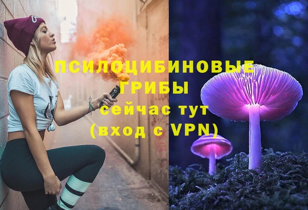 шишки Киренск